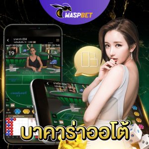 waspbet บาคาร่าออโต้
